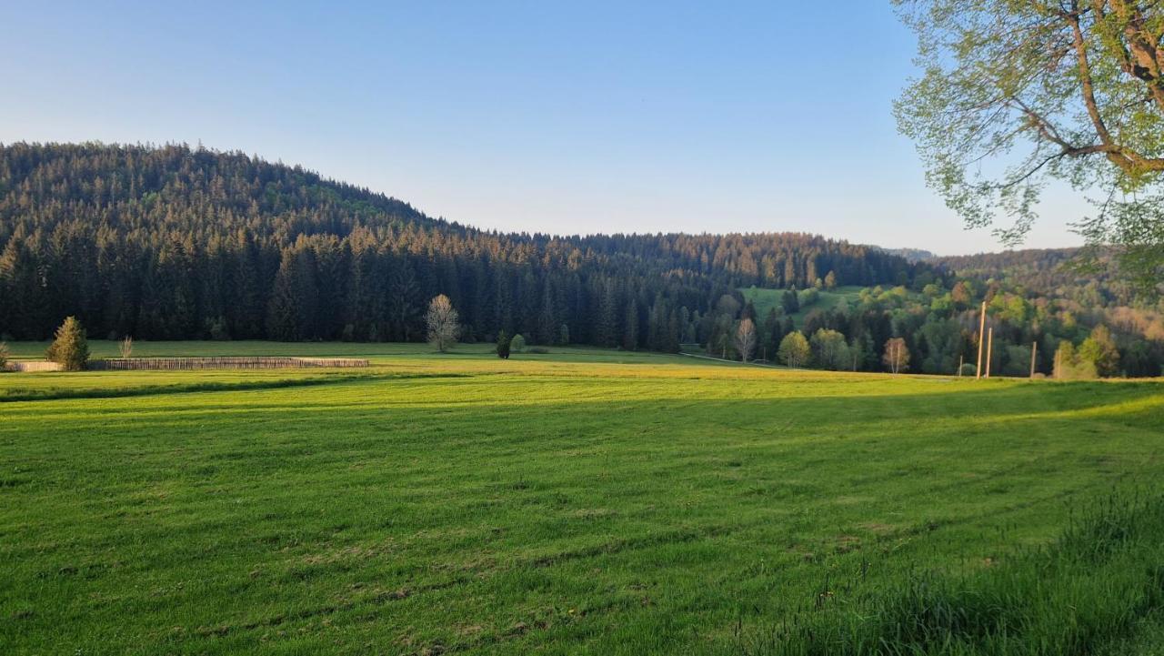 Two Apartaments Almberg - Mitterdorf-Mitterfirmiansreut Εξωτερικό φωτογραφία