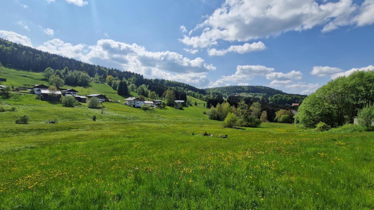 Two Apartaments Almberg - Mitterdorf-Mitterfirmiansreut Εξωτερικό φωτογραφία