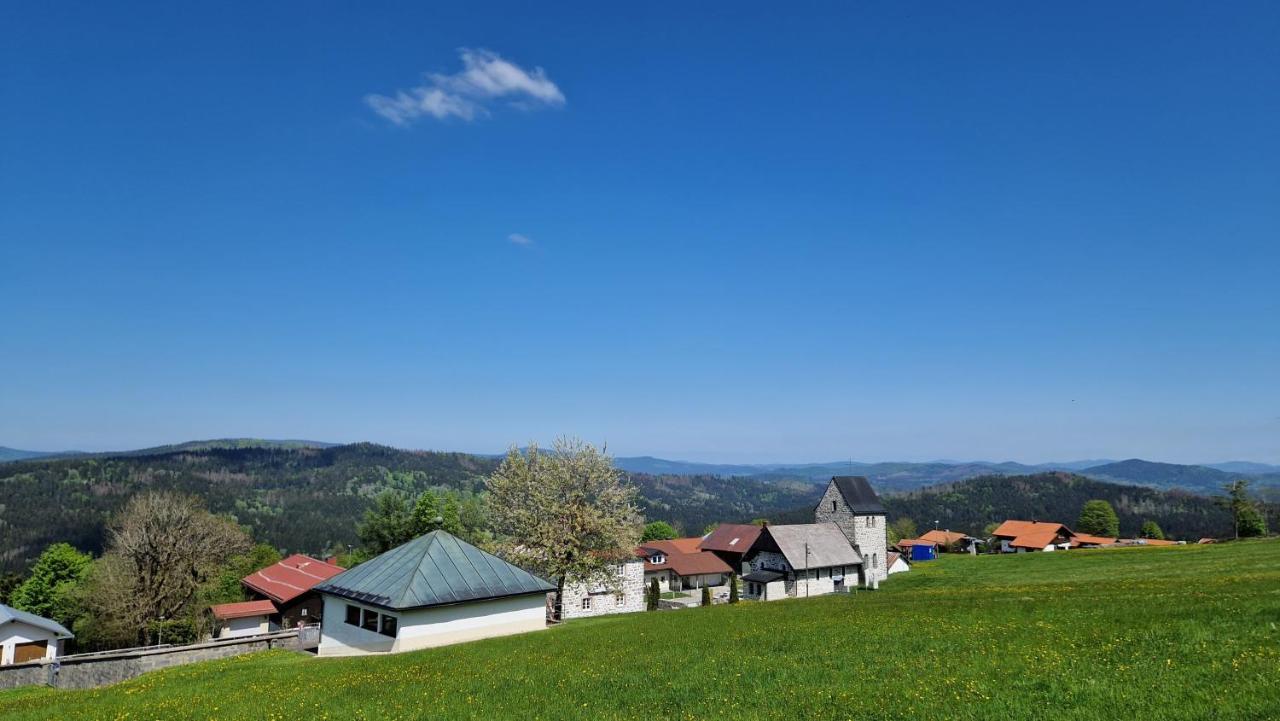 Two Apartaments Almberg - Mitterdorf-Mitterfirmiansreut Εξωτερικό φωτογραφία